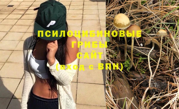 дурь Алексеевка