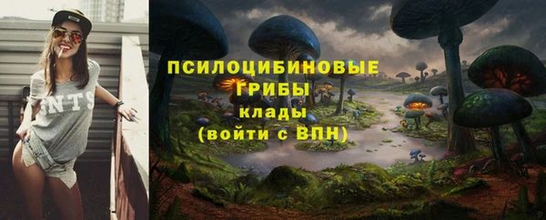 дурь Алексеевка