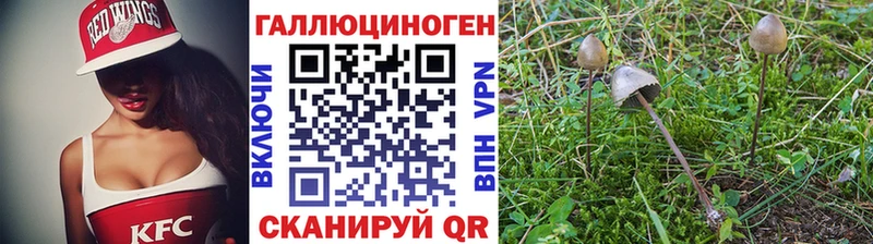 Псилоцибиновые грибы Cubensis Заполярный